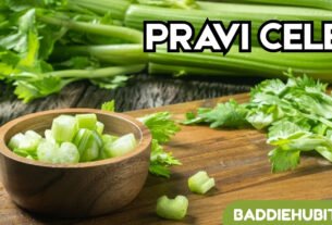 Pravi Celer