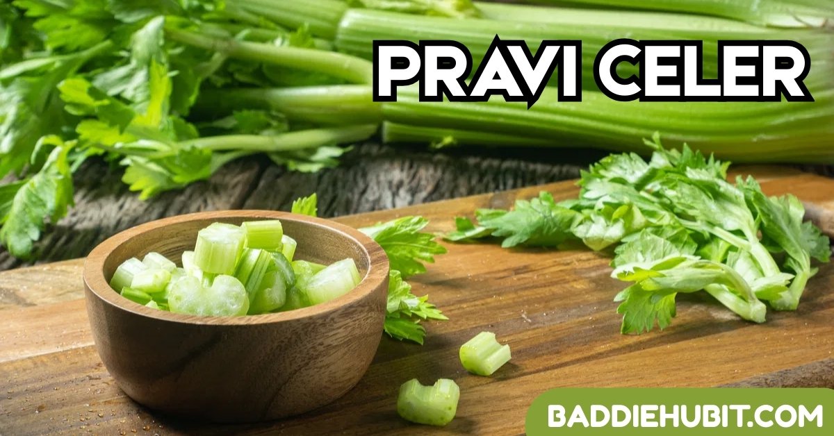 Pravi Celer