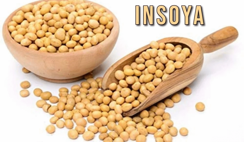 What Is Insoya