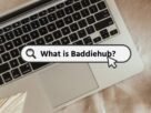 BaddieHub